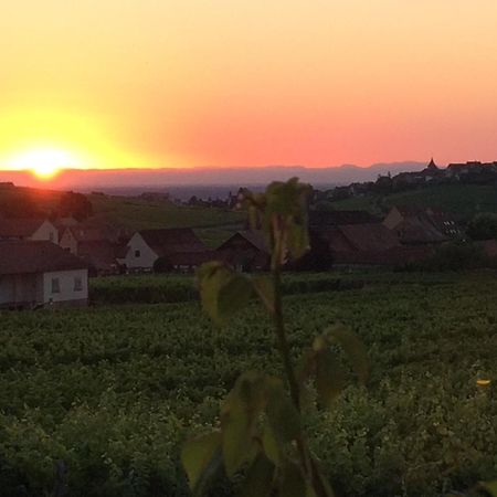 Gite Le Mandle Riquewihr Exteriér fotografie