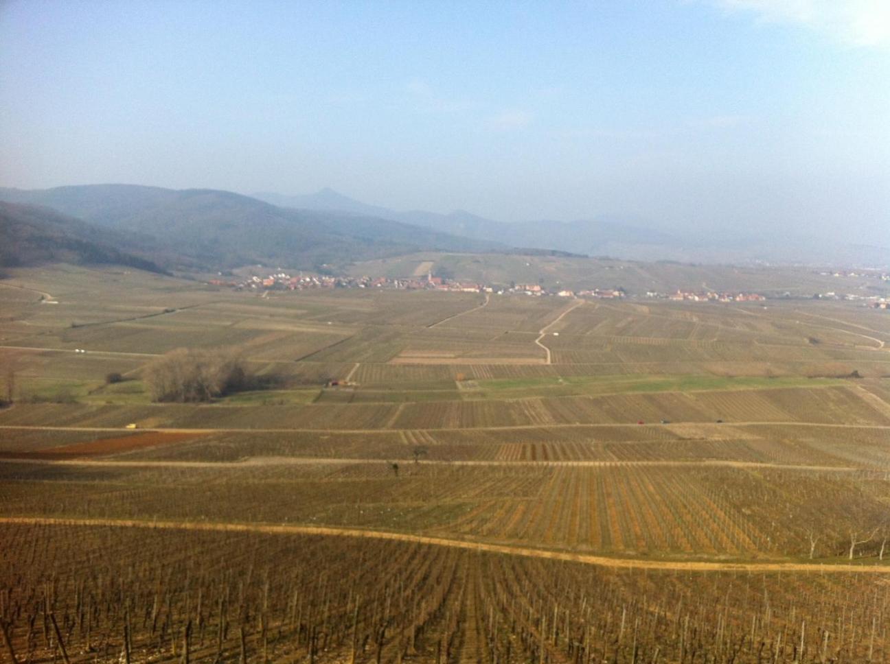 Gite Le Mandle Riquewihr Exteriér fotografie
