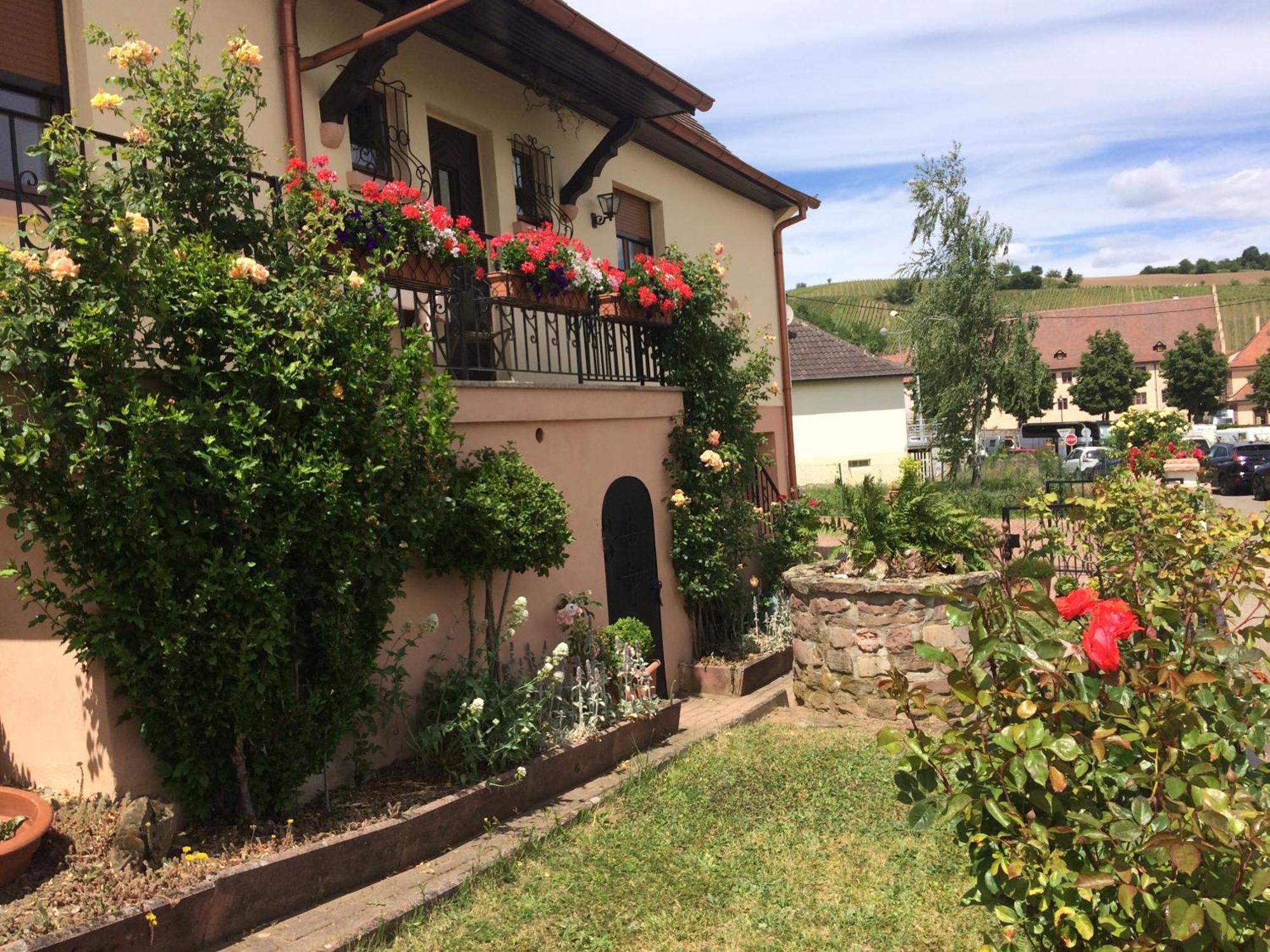 Gite Le Mandle Riquewihr Exteriér fotografie