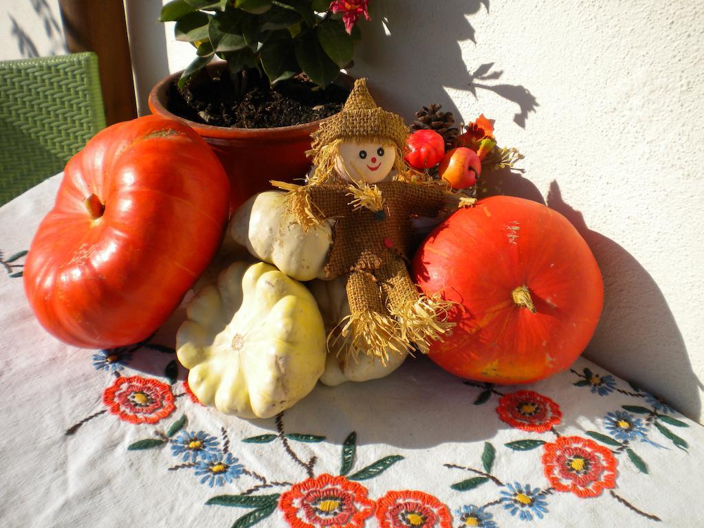 Gite Le Mandle Riquewihr Pokoj fotografie