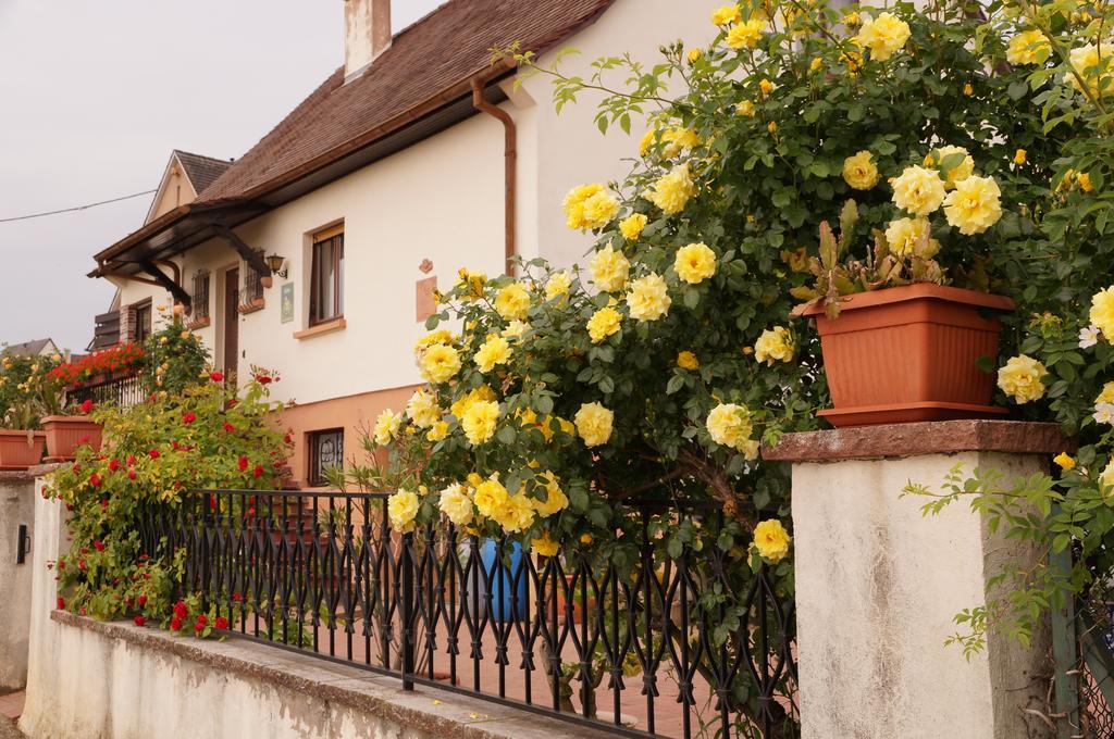Gite Le Mandle Riquewihr Pokoj fotografie